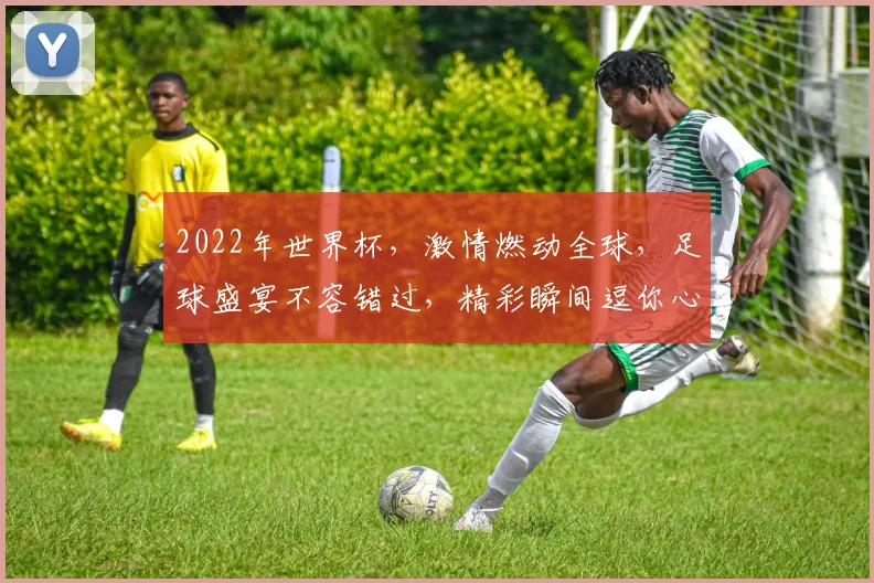 2022年世界杯，激情燃动全球，足球盛宴不容错过，精彩瞬间逗你心跳加速