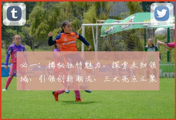 必一：揭秘独特魅力，探索未知领域，引领创新潮流，三大亮点汇聚一网打尽