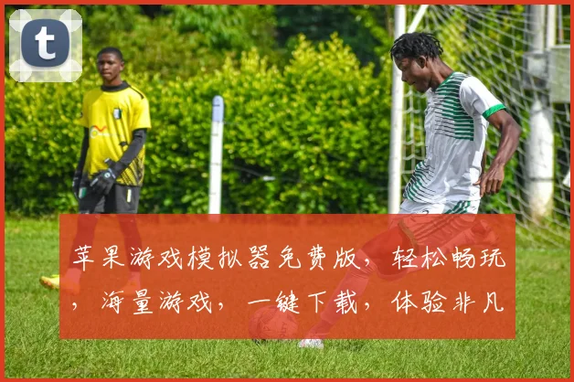 苹果游戏模拟器免费版，轻松畅玩，海量游戏，一键下载，体验非凡，不容错过，