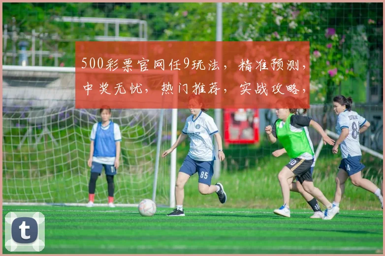 500彩票官网任9玩法，精准预测，中奖无忧，热门推荐，实战攻略，轻松驾驭