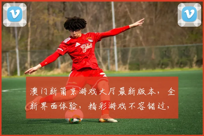 澳门新莆京游戏大厅最新版本，全新界面体验，精彩游戏不容错过，升级必看